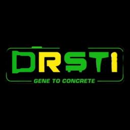 Drsti's logo