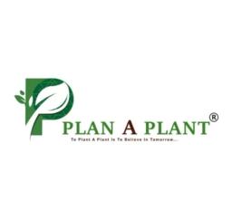 Plan A Plant's logo