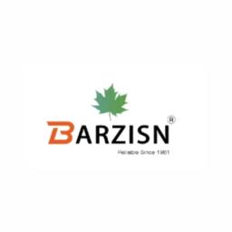 Barzisn Furniture's logo