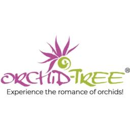 Orchid Tree's logo